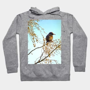 Birds - Sparrow on a Winter Branch Hoodie